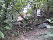 curaheetrail01.jpg (125914 bytes)