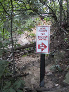 curaheetrail02.jpg (120847 bytes)
