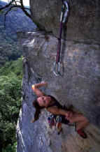 Angie Whitfield Jesus Get Away from the edge BuzzardPoint.jpg (84490 bytes)