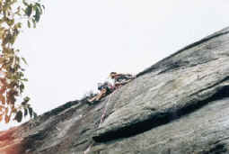 obscured_michael01a.jpg (52976 bytes)