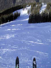 taos04a.jpg (66016 bytes)